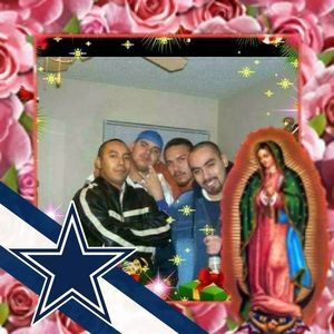 Meet your Posher, Ginger